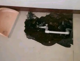 静安卫生间测漏水多少钱